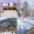 甘孜旅游 缩略图 3