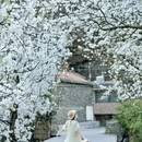 阿坝旅游 缩略图 5