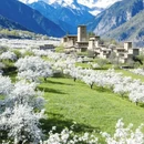 阿坝旅游 缩略图 4