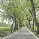 黄山旅游 缩略图 1