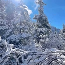 阿坝旅游 缩略图 14