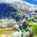 阿坝旅游 缩略图 7