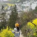 黄山旅游 缩略图 5