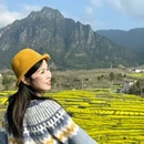 黄山旅游 缩略图 4