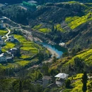 黄山旅游 缩略图 7