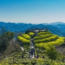 黄山旅游 缩略图 8