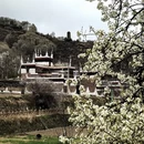 阿坝旅游 缩略图 11