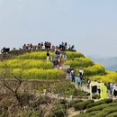 黄山旅游 缩略图 6