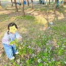 苏州旅游 缩略图 6