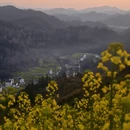 黄山旅游 缩略图 8