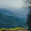 黄山旅游 缩略图 12