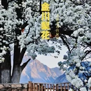 甘孜旅游 缩略图 2
