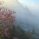 黄山旅游 缩略图 6