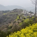 黄山旅游 缩略图 9