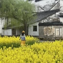 黄山旅游 缩略图 8