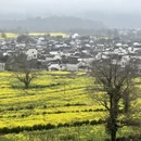 黄山旅游 缩略图 9