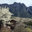 阿坝旅游 缩略图 5