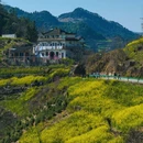 黄山旅游 缩略图 4