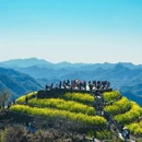 黄山旅游 缩略图 2