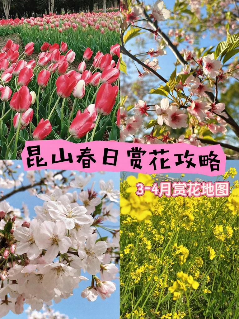 苏州旅游