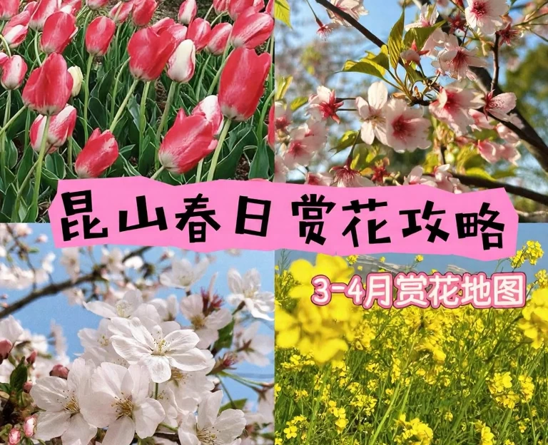 苏州旅游 1