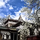 阿坝旅游 缩略图 8