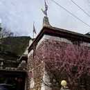 阿坝旅游 缩略图 6
