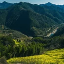 黄山旅游 缩略图 3