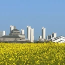苏州旅游 缩略图 4