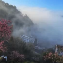 黄山旅游 缩略图 7