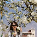 阿坝旅游 缩略图 5