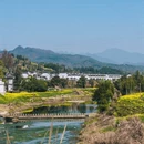 黄山旅游 缩略图 13