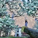 甘孜旅游 缩略图 5