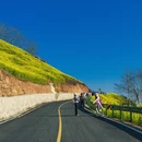 黄山旅游 缩略图 14