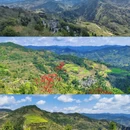 黄山旅游 缩略图 3