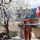 甘孜旅游 缩略图 17