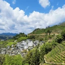 黄山旅游 缩略图 6