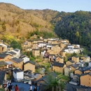 黄山旅游 缩略图 9