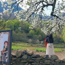 阿坝旅游 缩略图 1