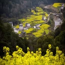 黄山旅游 缩略图 4