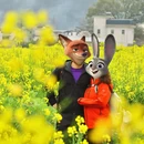黄山旅游 缩略图 1