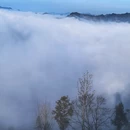 黄山旅游 缩略图 8