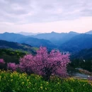 黄山旅游 缩略图 3