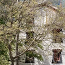 阿坝旅游 缩略图 17