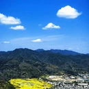 黄山旅游 缩略图 9