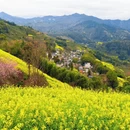 黄山旅游 缩略图 7