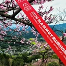 黄山旅游 缩略图 8