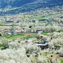 阿坝旅游 缩略图 3