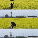 黄山旅游 缩略图 1