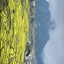 黄山旅游 缩略图 8